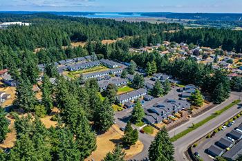 an aerial view of Hawks Prairie Townhomes with buildings and trees